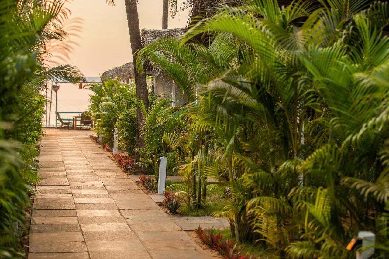 Agonda Shell Beach Resort 캔코나 외부 사진